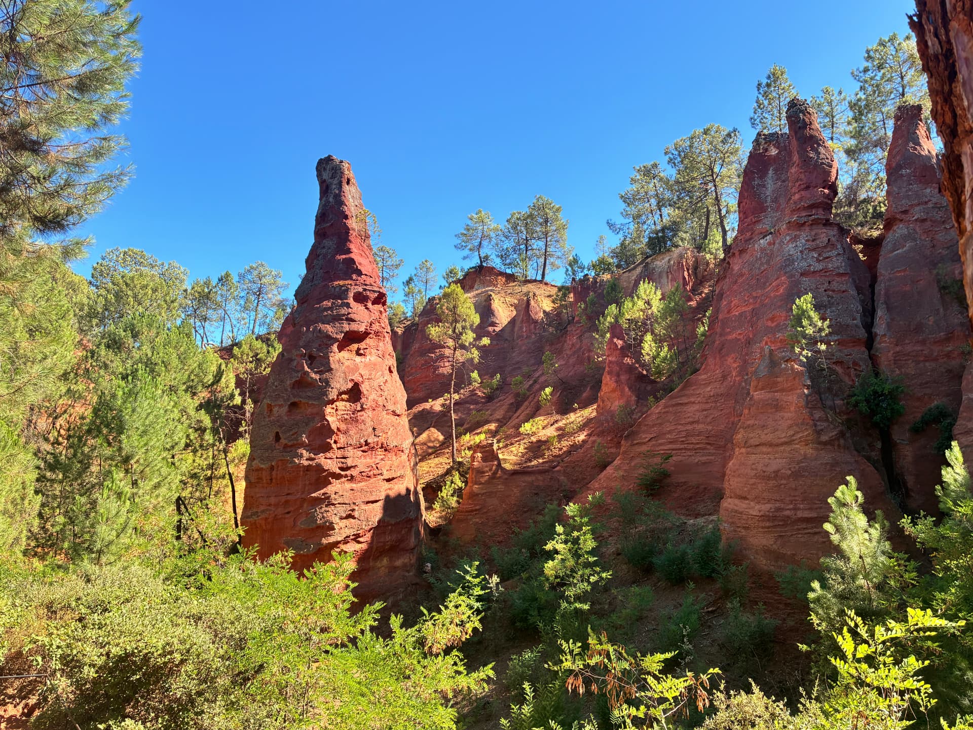 Falaises d'ocre rouge entourées de pins à Roussillon